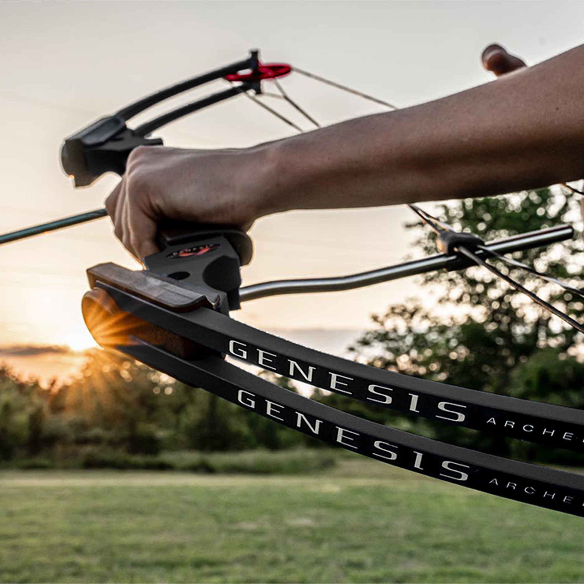 Genesis Archery Original Adjustable Right Handed Compound Bow, Black (4 Pack)