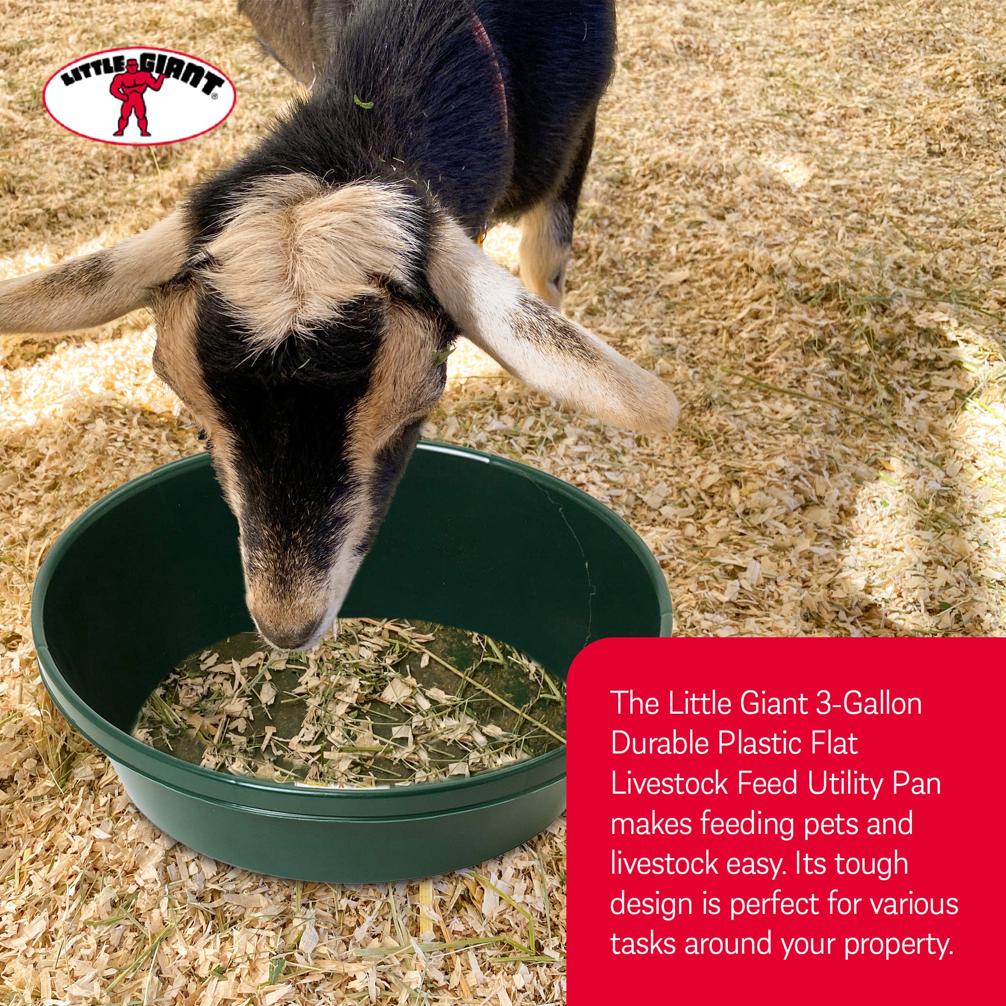 Little Giant 3 Gal Plastic Flat Farm Livestock Feed Utility Pan Green (Open Box) - VMInnovations