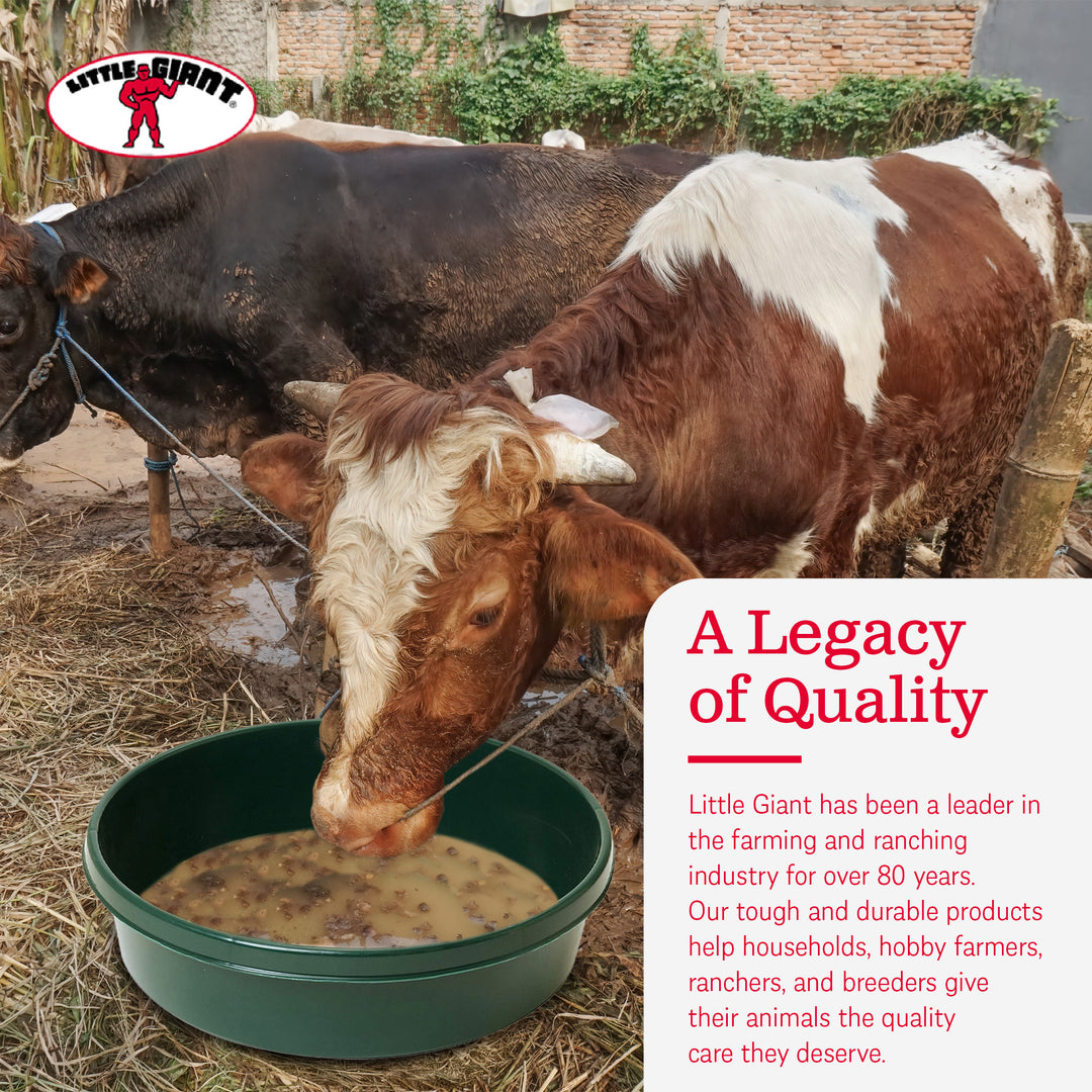 Little Giant 3 Gal Durable Flat Farm Livestock Feed Utility Pan, Green (4 Pack)