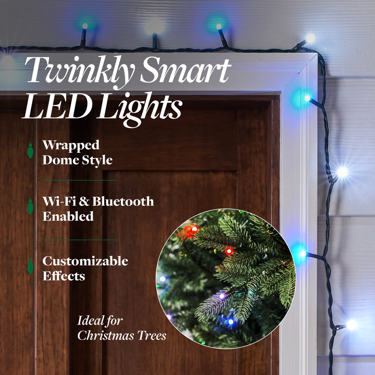 Home Heritage Lumations 16.3 Ft RGB LED Indoor/Outdoor String Lights, 50 Count