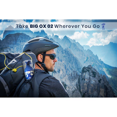 Big Ox O2 10 L Aluminum Oxygen Can w/ Mouthpiece, Eucalyptus Energizer (2 Pack)