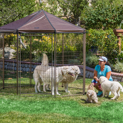 Advantek 8 Foot Portable Indoor Outdoor Galvanized Steel Pet and Dog Gazebo