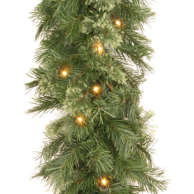 National Tree Company 9 Foot Wispy Willow Garland with Clear Lights