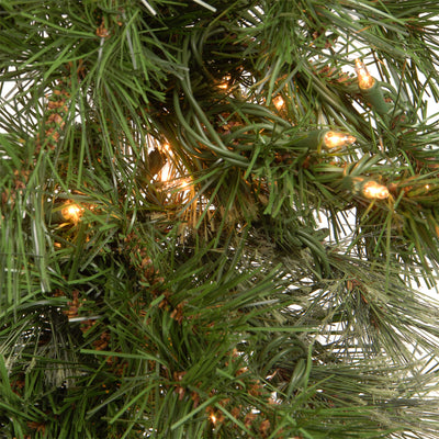 National Tree Company 9 Foot Wispy Willow Garland with Clear Lights