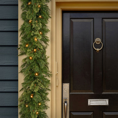National Tree Company 9 Foot Wispy Willow Garland with Clear Lights