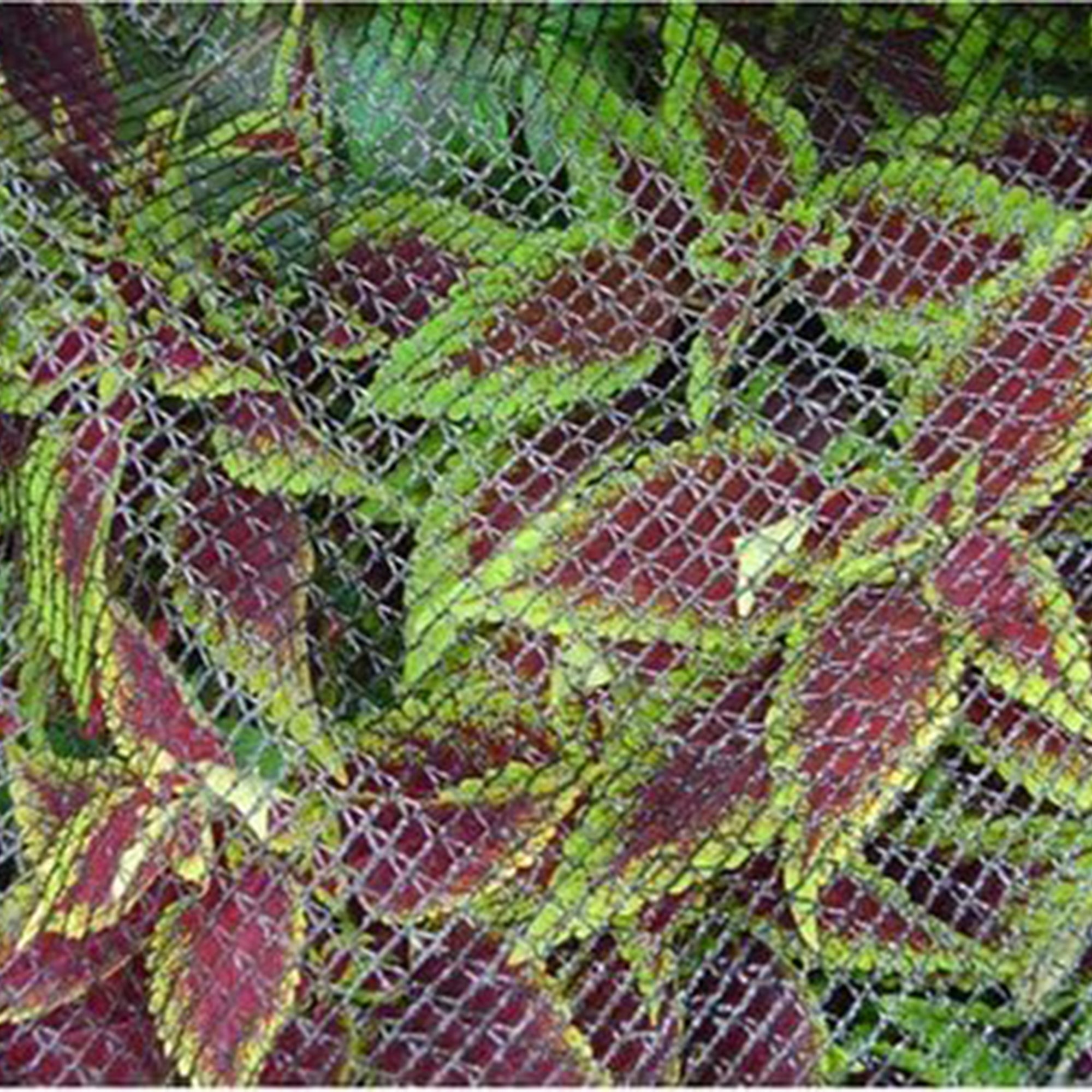 DeWitt 14x45 Ft Deluxe Bird Barricade, Garden Mesh Netting for Plant Protection - VMInnovations