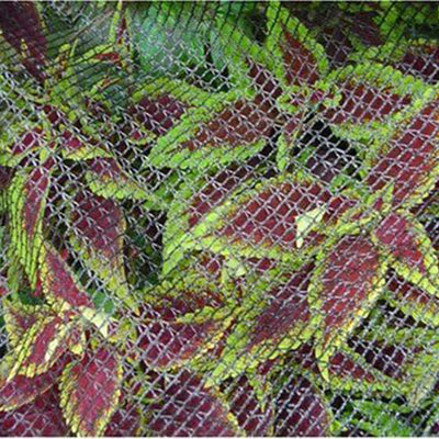 DeWitt 14x45 Ft Deluxe Bird Barricade, Garden Mesh Netting for Plant Protection - VMInnovations