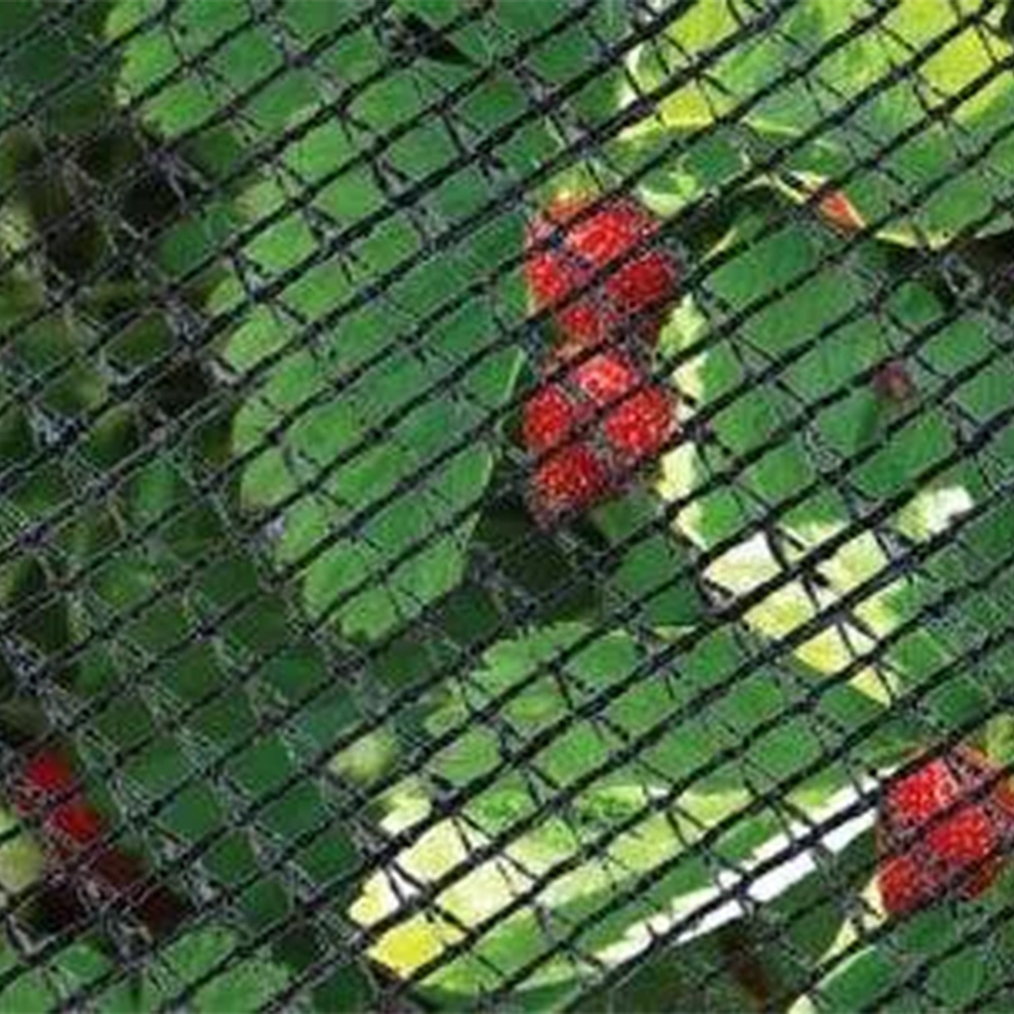 DeWitt 14x45 Ft Deluxe Bird Barricade, Garden Mesh Netting for Plant Protection - VMInnovations