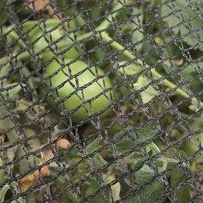 DeWitt 14x45 Ft Deluxe Bird Barricade, Garden Mesh Netting for Plant Protection - VMInnovations