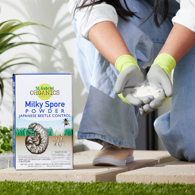 St. Gabriel Organics Milky Spore Powder Japanese Beetle Grub Control, 10 Ounces - VMInnovations