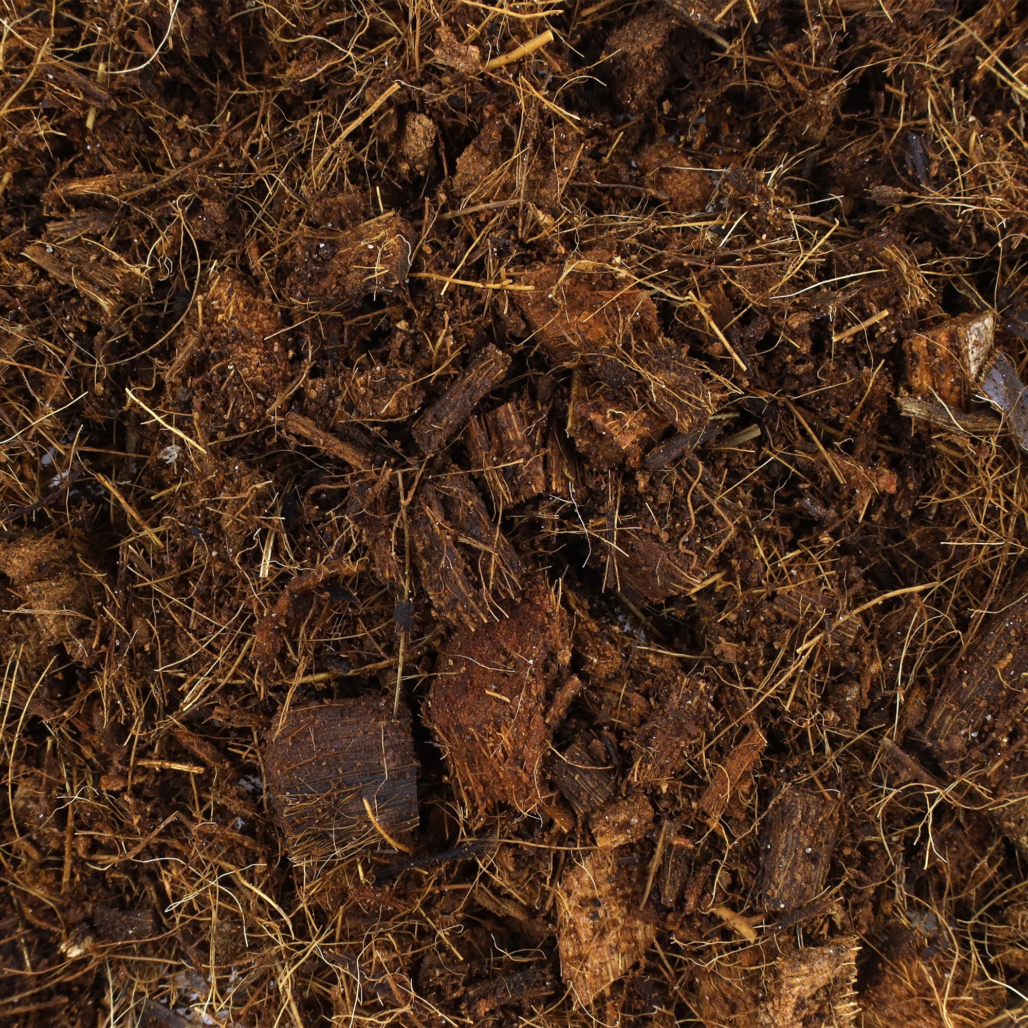 GROW!T JSCCM25 Coco Coir Mix Block for Hydroponics, Indoor, and Outdoor Plants - VMInnovations