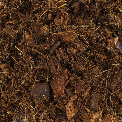 GROW!T JSCCM25 Coco Coir Mix Block for Hydroponics, Indoor, and Outdoor Plants - VMInnovations