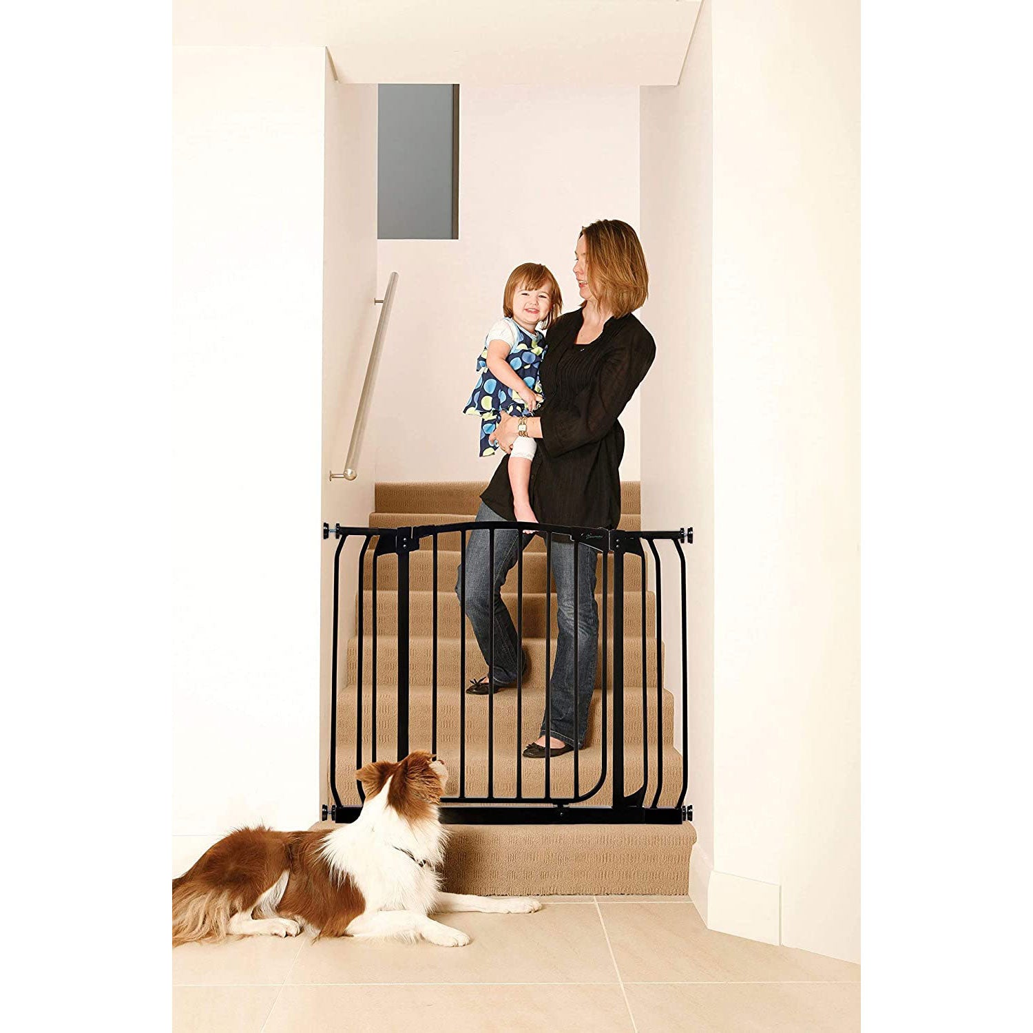 Dreambaby L778B Chelsea 28 to 39 Inch Auto-Close Baby Pet Safety Gate, Black