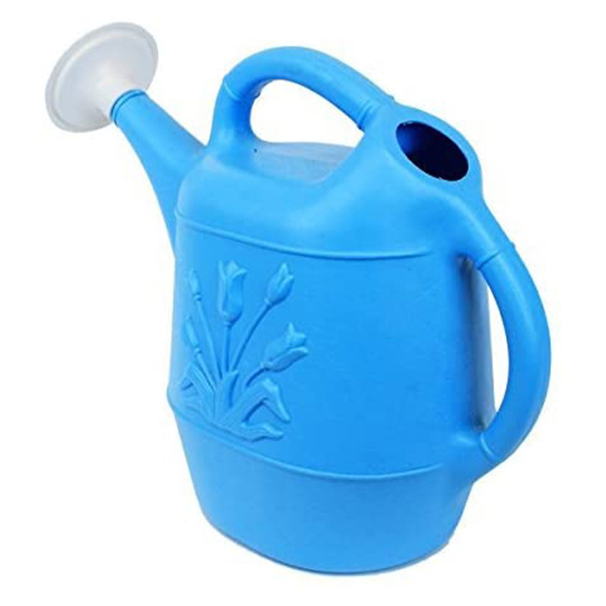 Union Products Plants & Garden 2 Gal Plastic Watering Can, Caribbean Blue, 3 Ct
