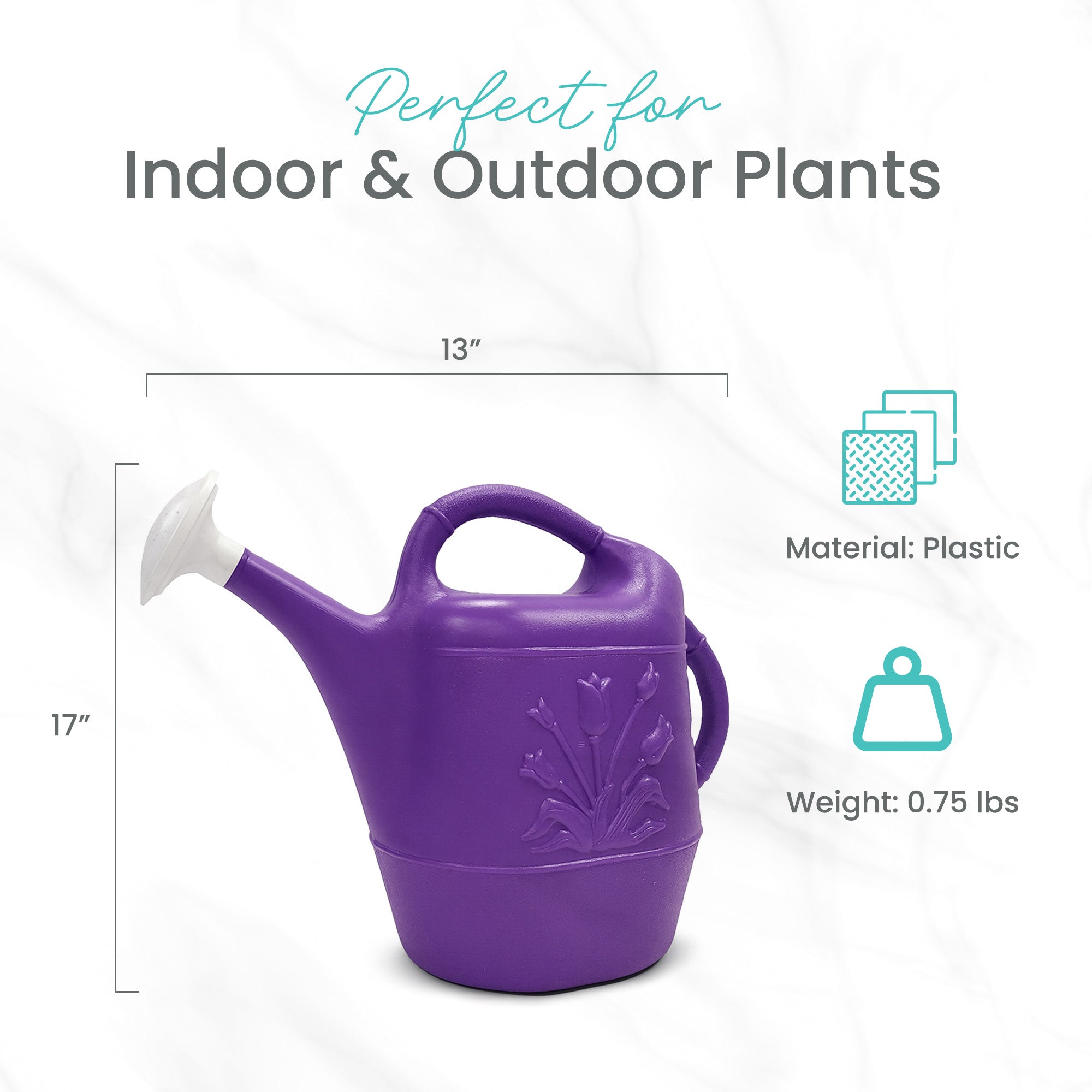 Union Products 63068 Indoor/Outdoor 2 Gallon Plastic Plant Watering Can, Purple - VMInnovations