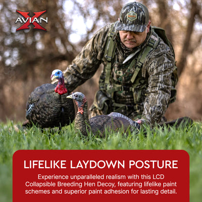 Avian-X AVX8011 Lifelike Collapsible Laydown Breeding Hen Turkey Hunting Decoy