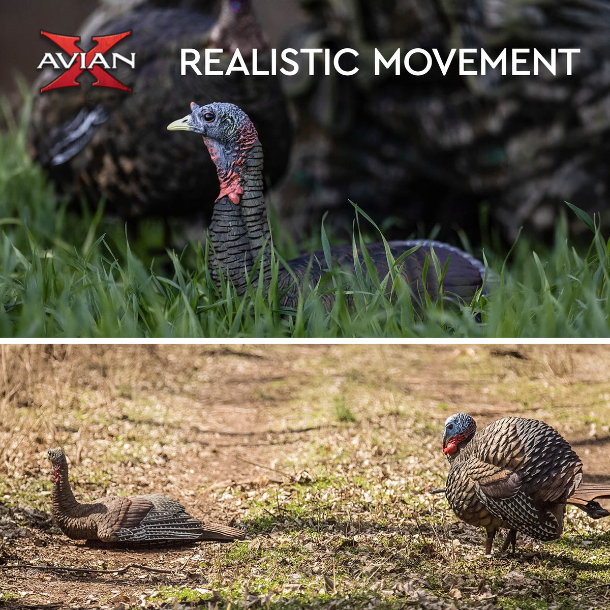 Avian-X AVX8011 Lifelike Collapsible Laydown Breeding Hen Turkey Hunting Decoy