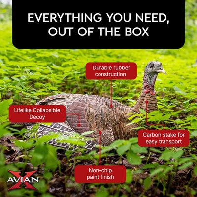 Avian-X AVX8011 Lifelike Collapsible Laydown Breeding Hen Turkey Hunting Decoy