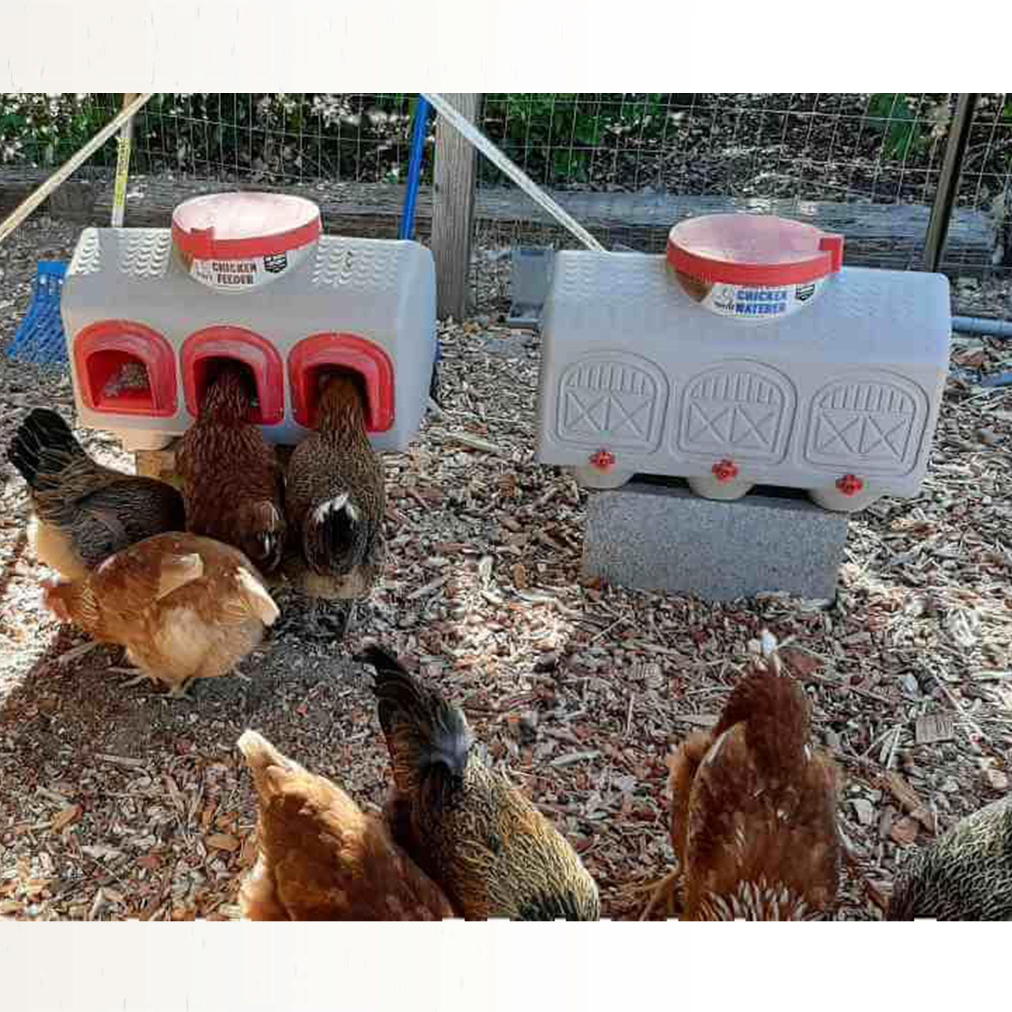 OverEZ Chicken Coop Automatic Poultry Water Dispenser 3 Easy Access Taps (Used)