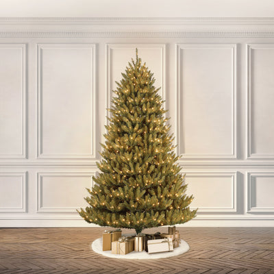 Puleo International 6.5 Foot Dans Mountain Fir Prelit Full Christmas Tree - VMInnovations