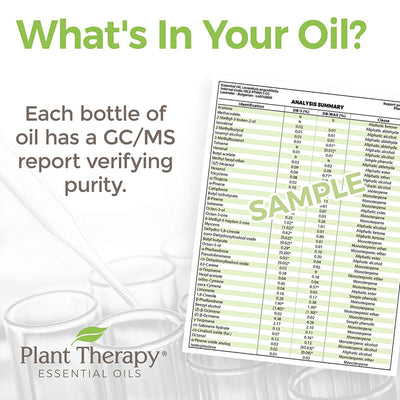 Plant Therapy 10 mL Essential Oil Blends, Set of 6, 1/3 Oz, KidSafe Starter (Used)