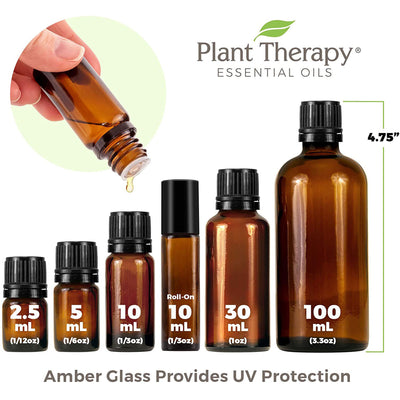 Plant Therapy 10 mL Essential Oil Blends, Set of 6, 1/3 Oz, Starter (Open Box)