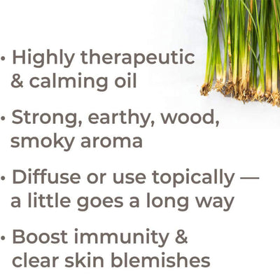 Plant Therapy Aromatherapy 10mL Essential Oil, 1/3oz, Organic Vetiver (3 Pack)