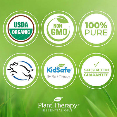 Plant Therapy Aromatherapy 10mL Essential Oil, 1/3oz, Organic Vetiver (2 Pack)