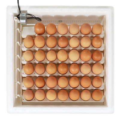 Farm Innovators Digital Circulated Air Incubator w/ Auto Egg Turner, White(Used) - VMInnovations
