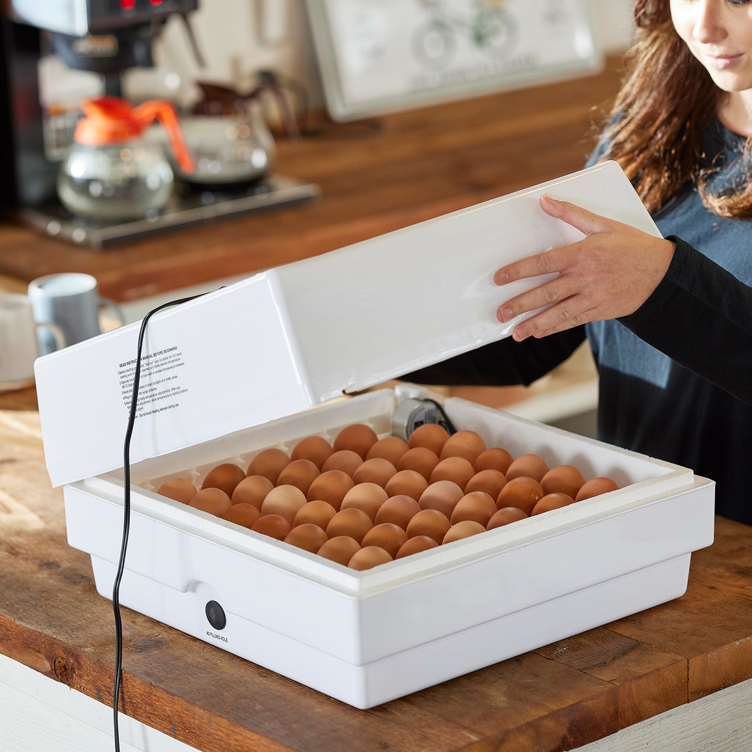 Farm Innovators Digital Air Incubator w/ Auto Egg Turner, White (For Parts) - VMInnovations
