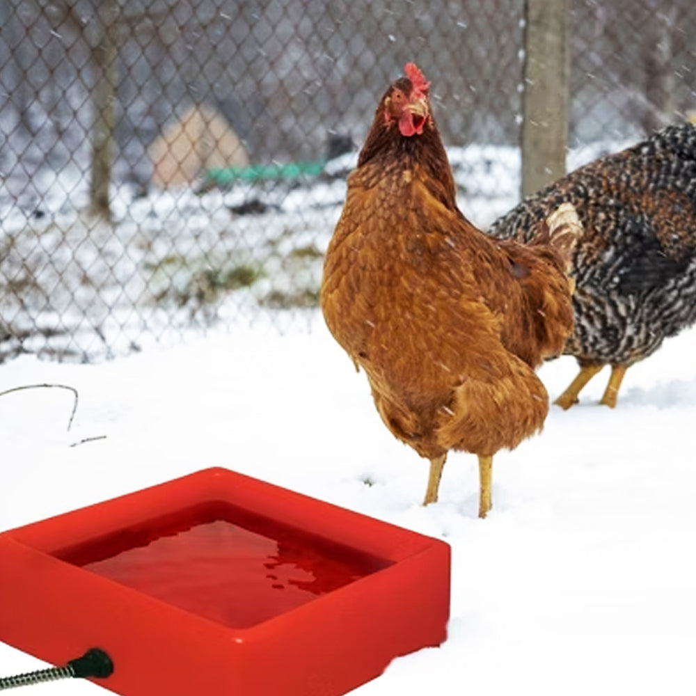 Farm Innovators D-19 1.25 Gallon 60W Electric Heated Chicken Pet Water Bowl, Red - VMInnovations