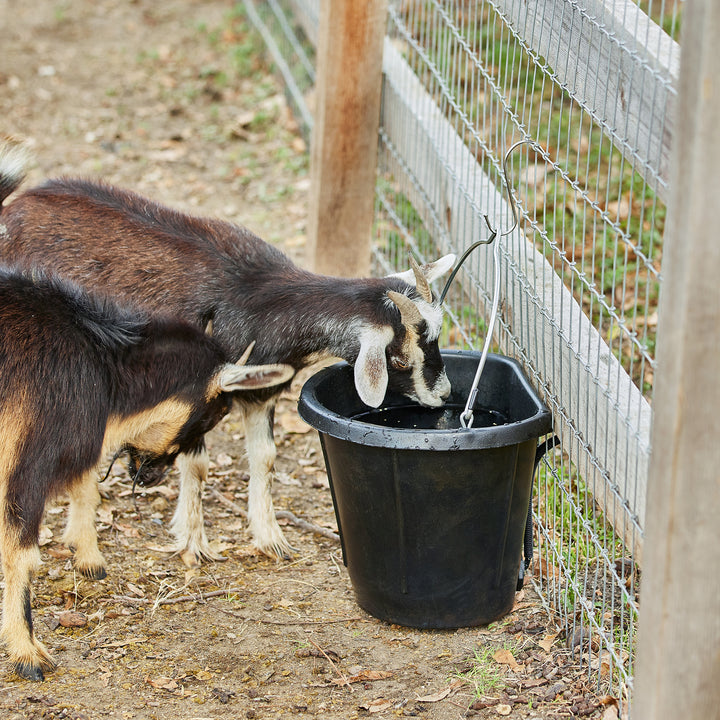 Farm Innovators FB-80R Rubber 3 Gal Flat Back Heated Bucket, 70 Watt(Open Box)