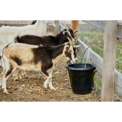 Farm Innovators FB-80R Rubber 3g Flat Back Heated Bucket, 70 Watt, Black (Used) - VMInnovations