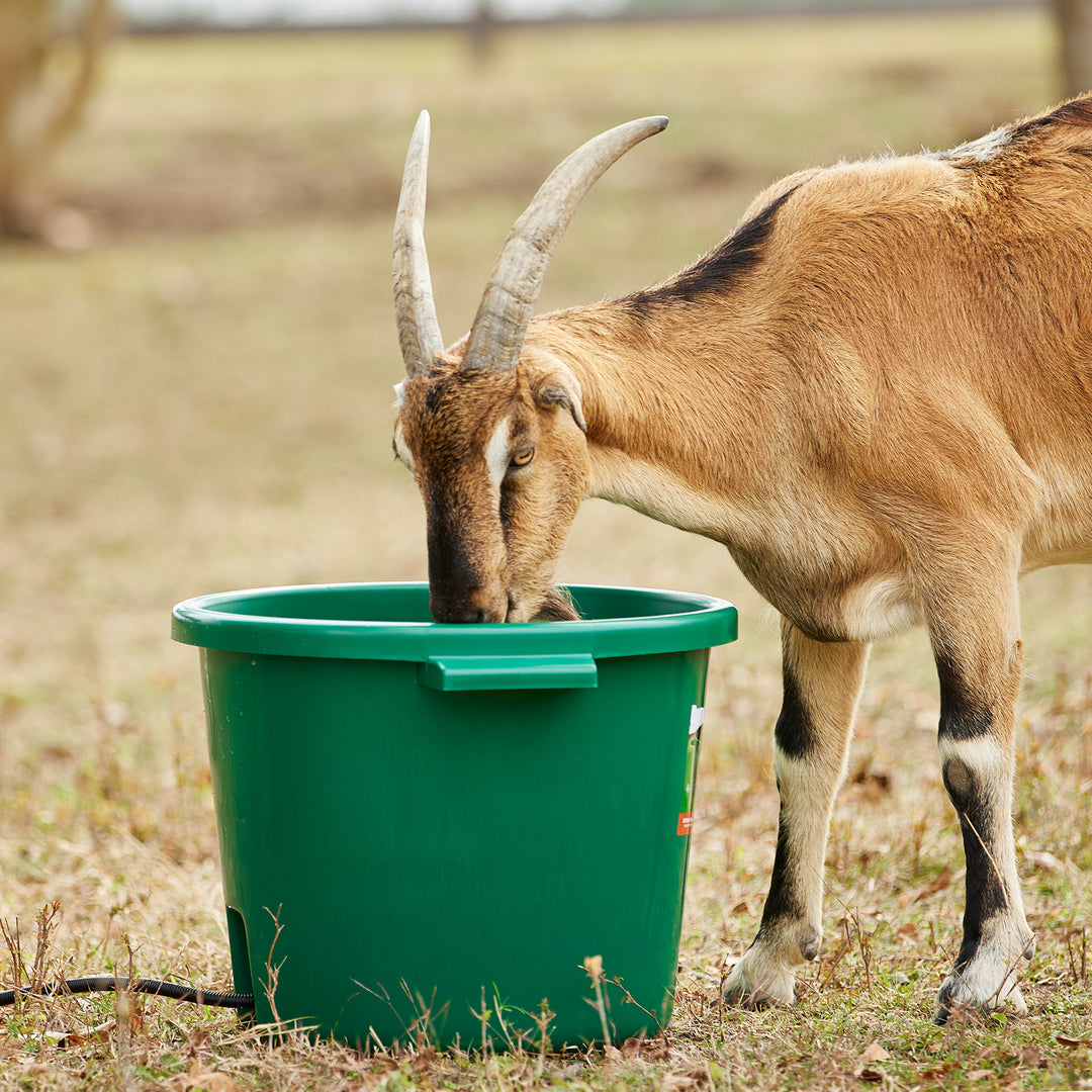 Farm Innovators 16 Gallon Plastic Heated Animal Water Bucket Tub, Green (4 Pack)