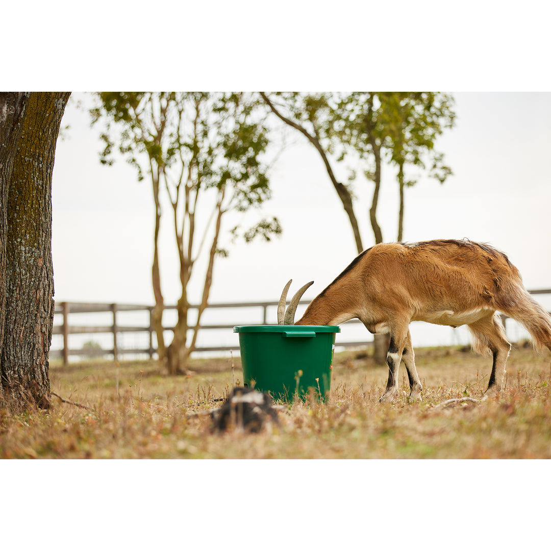 Farm Innovators 16 Gallon Plastic Heated Animal Water Bucket Tub, Green (4 Pack)