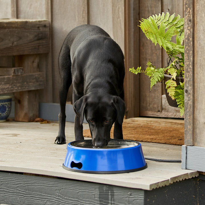 Farm Innovators Signature 3QT Heated Pet Bowl w/Stainless Steel Insert (Used)