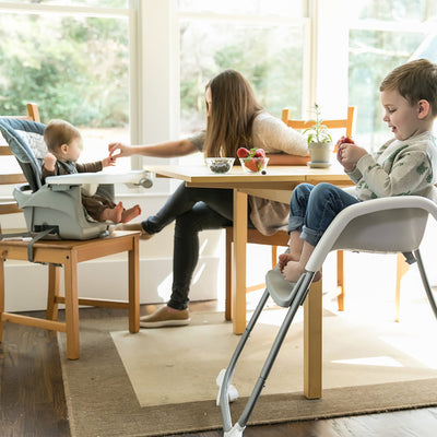 Ingenuity Trio Elite 3 in 1 Full Size Baby Toddler High Chair Booster (Used)