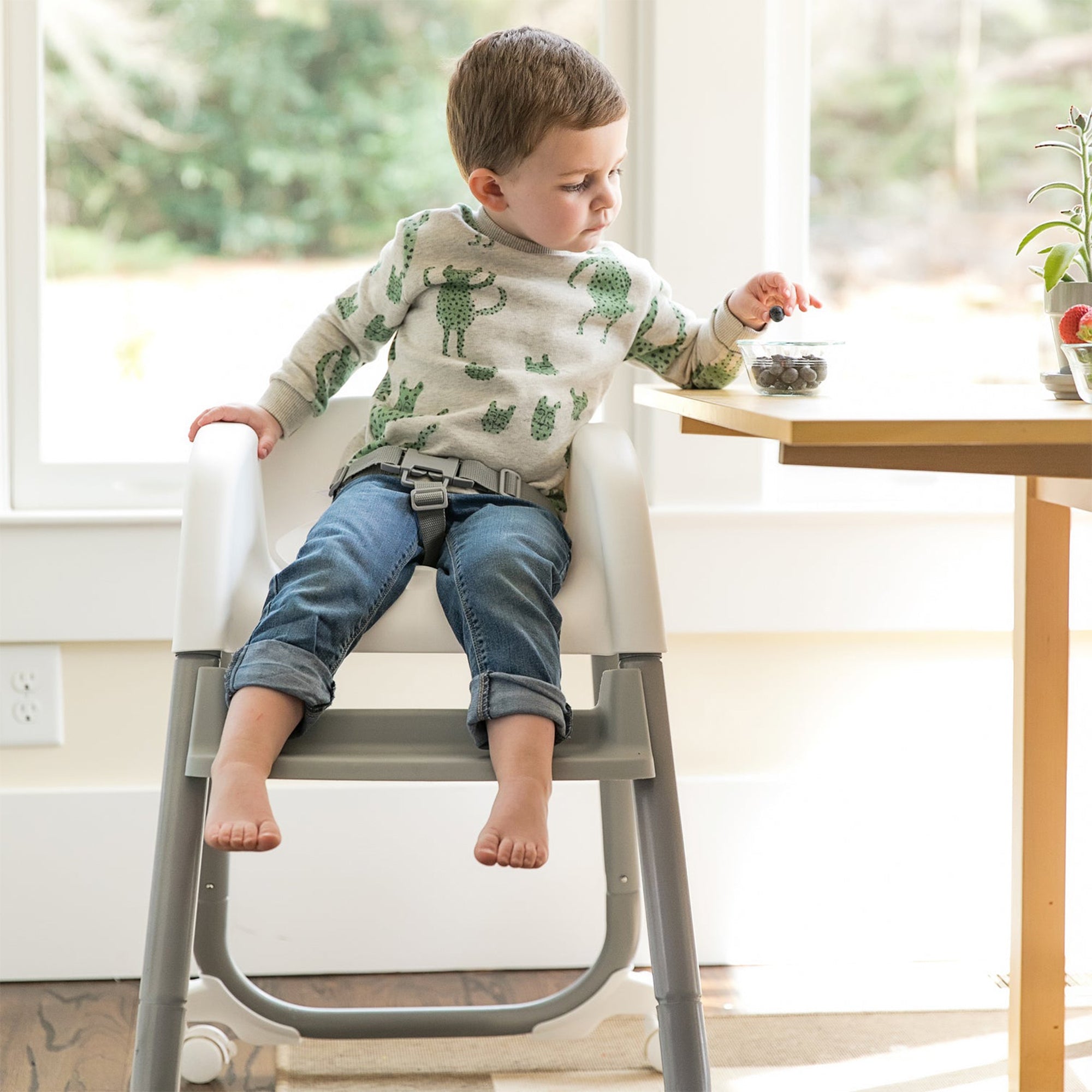 Ingenuity Trio Elite 3 in 1 Full Size Baby Toddler High Chair Booster (Used)