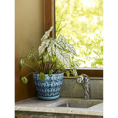 Southern Patio 8 Inch Ceramic Clay Mayer Planter and Saucer, Seafoam (2 Pack)