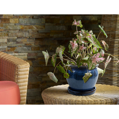 Southern Patio Wisteria 12 Inch Ceramic Planter Pot with Saucer, Blue (2 Pack)