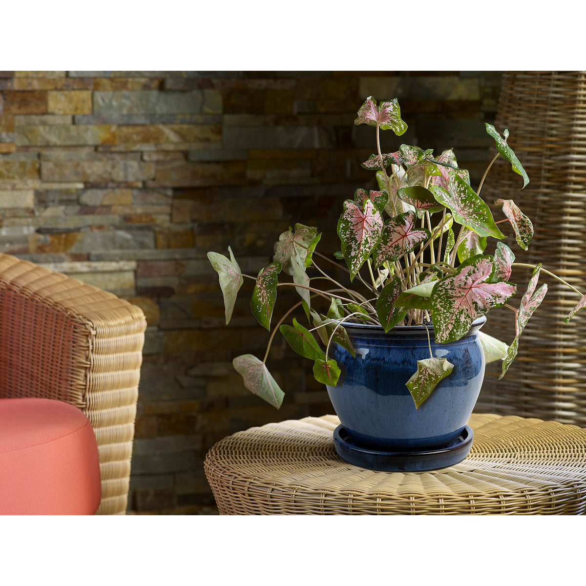 Southern Patio Wisteria 12 Inch Ceramic Planter Pot with Saucer, Blue (2 Pack) - VMInnovations