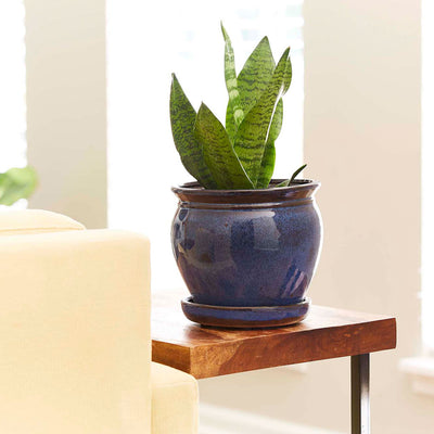 Southern Patio Wisteria 12 Inch Diameter Ceramic Planter Pot with Saucer, Blue - VMInnovations