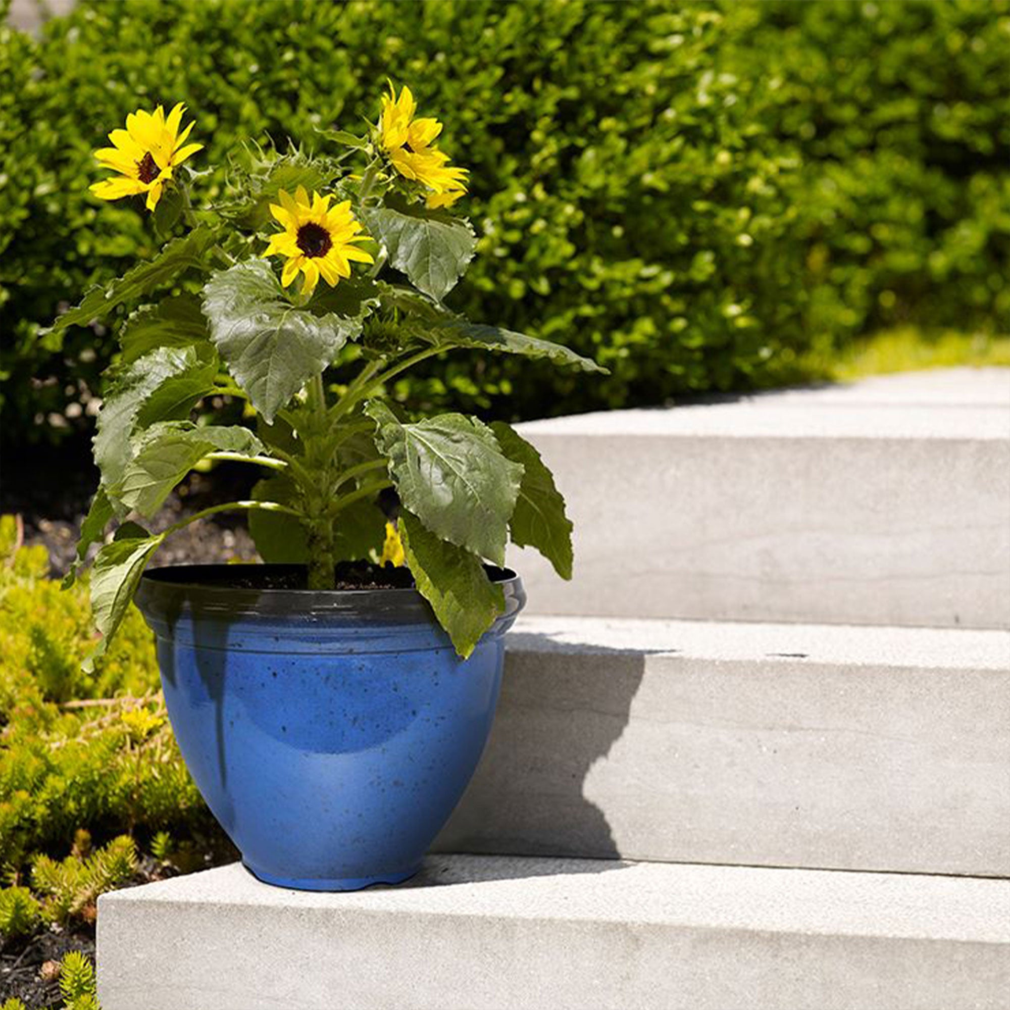 Southern Patio Heritage Outdoor Round Glossy Resin Planter, Monaco Blue (2 Pack) - VMInnovations
