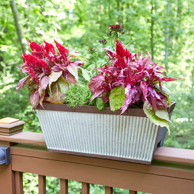 Southern Patio 24" Westlake Deck Rail Garden Planter, Rustic Galvanized (2 Pack) - VMInnovations