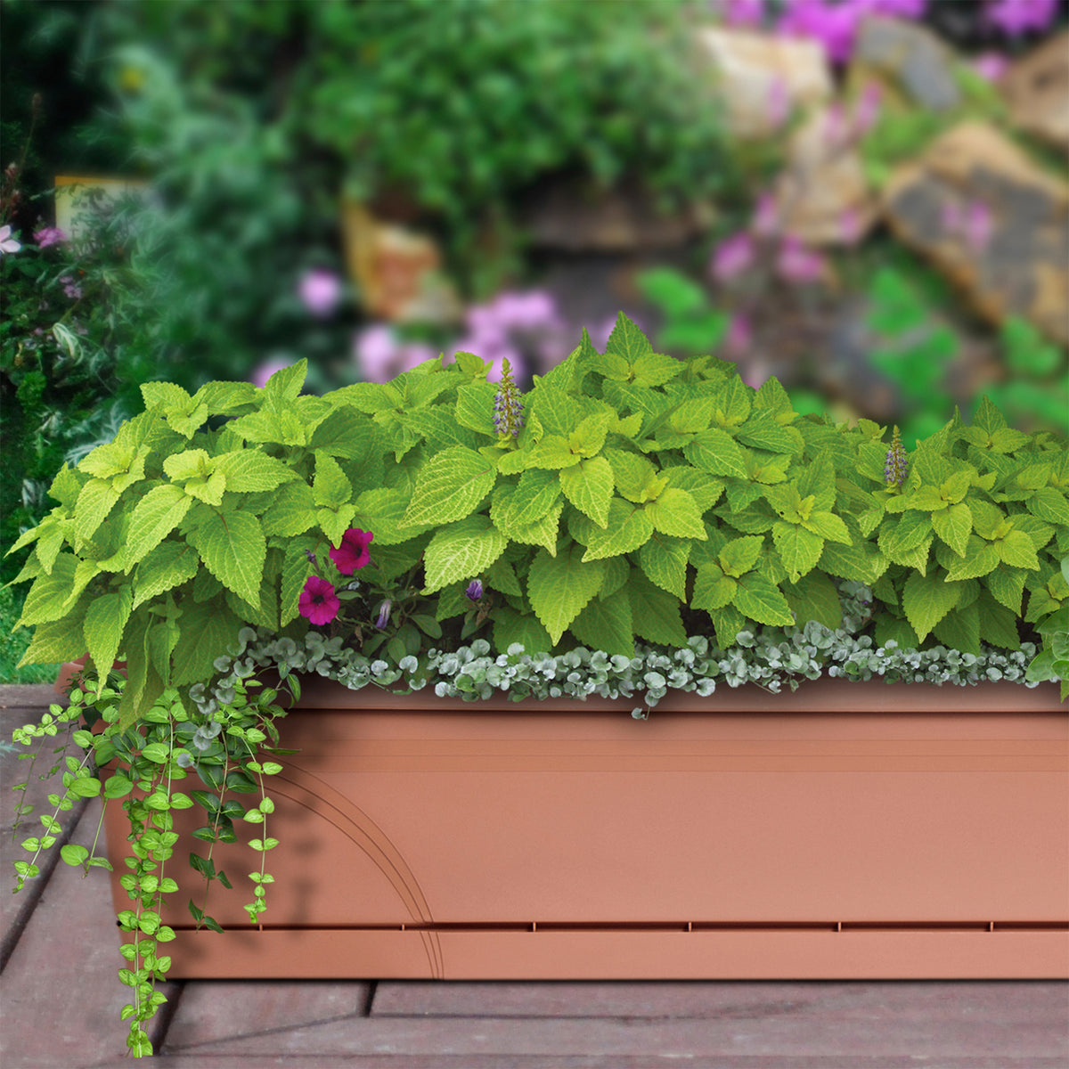 Southern Patio 24" Medallion Hanging Windowsill Garden Box Planter, Terracotta
