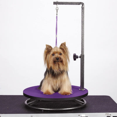 Master Equipment Rotating Small Pet Grooming Platform w/ Adjustable Arm, Purple