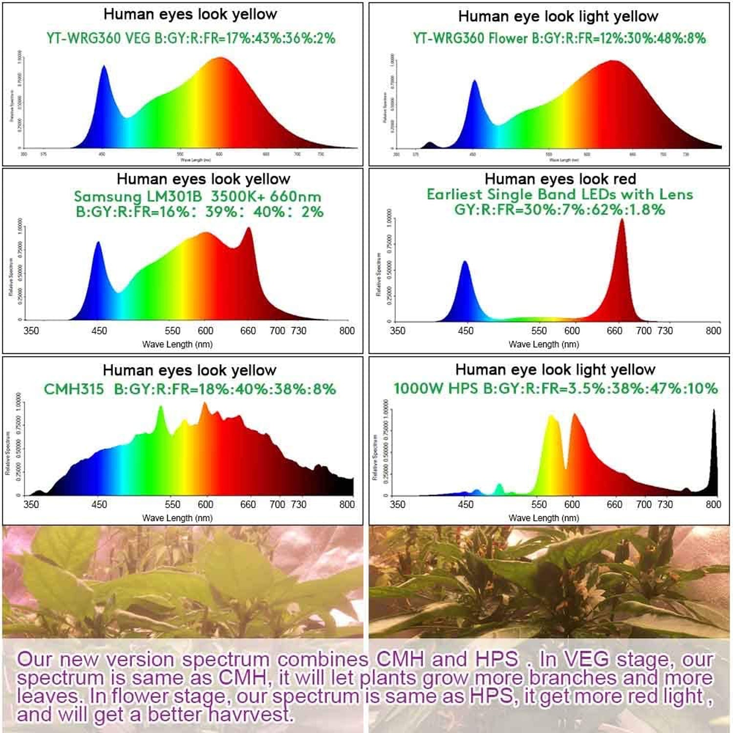 Carambola FS023DMC 4 x 4 Foot LED Commercial Hydroponics Grow Light Sun Lamp