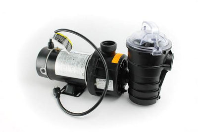 PENTAIR 340210 Dynamo Swimming Pool Pump 1.5 Hp w/Cord (Open Box)