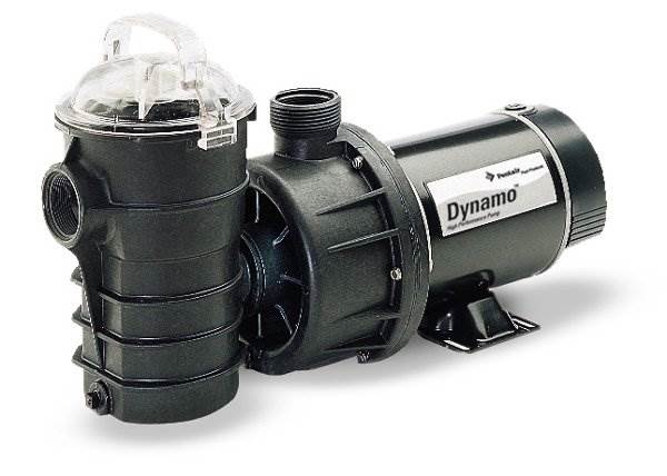 PENTAIR Dynamo Above Ground Swimming Pool Pump 2 Hp 1 Speed w/Cord (Used)