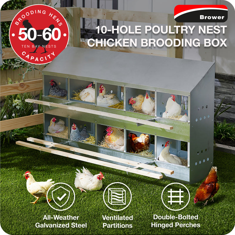 Brower Galvanized Steel 10 Hole 50 Bird Poultry Nest Chicken Brooding Box (Used)